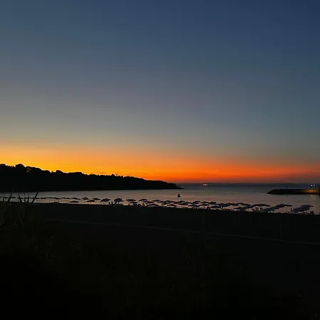 Zoya בית הארחה 3*