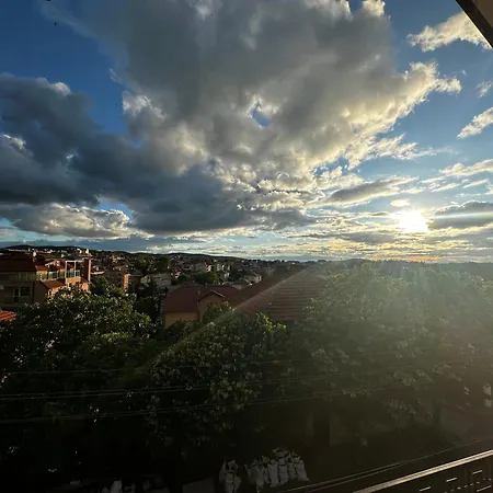 Zoya צ'רנומורץ